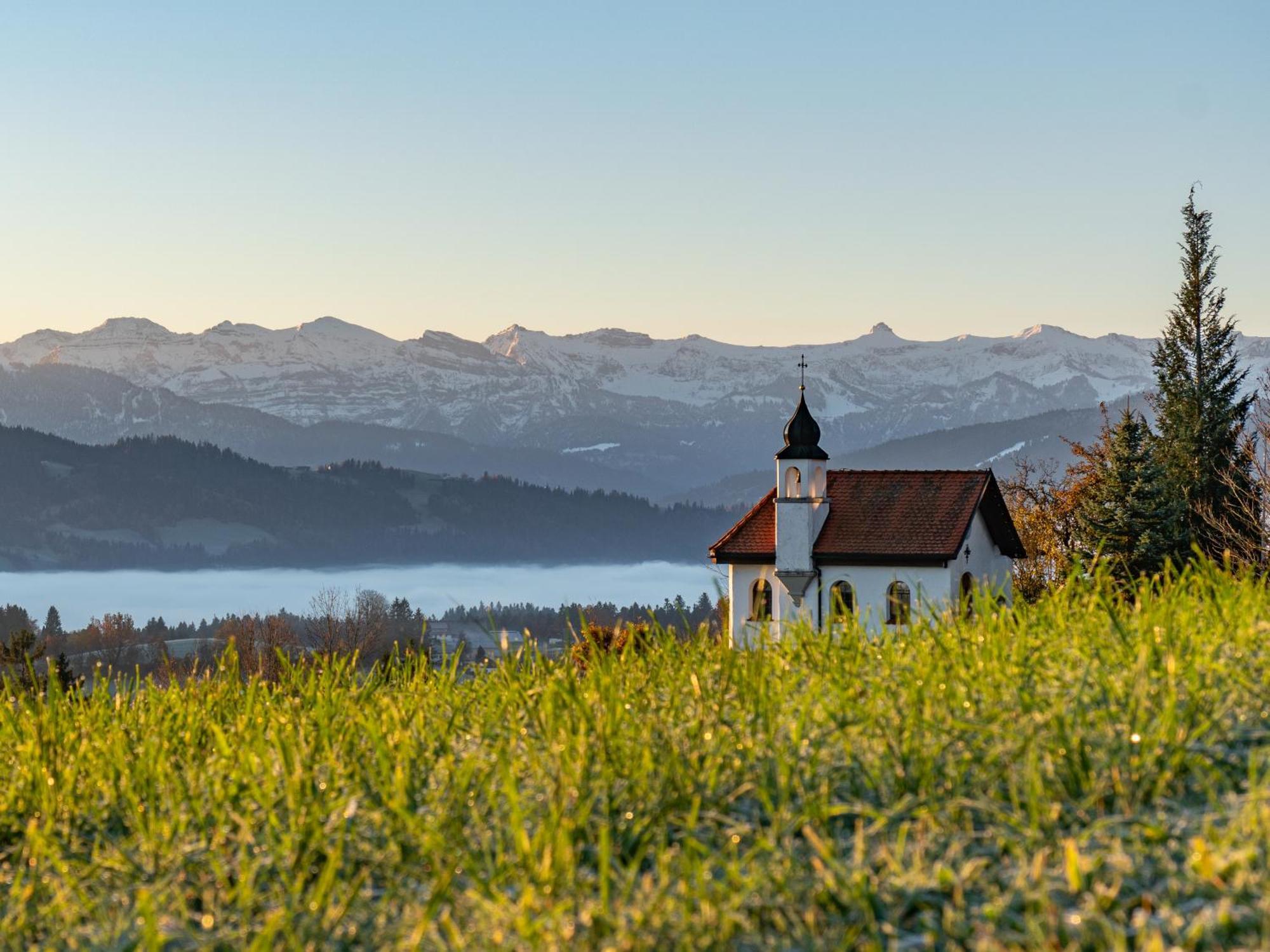 Ferienwohnung Bergpfote - Hund Herzlich Willkommen Scheidegg Eksteriør billede